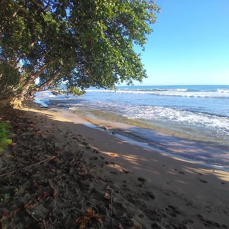 Escape Caribeno Hotel Puerto Viejo de Talamanca Eksteriør billede