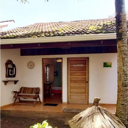 Escape Caribeno Hotel Puerto Viejo de Talamanca Eksteriør billede