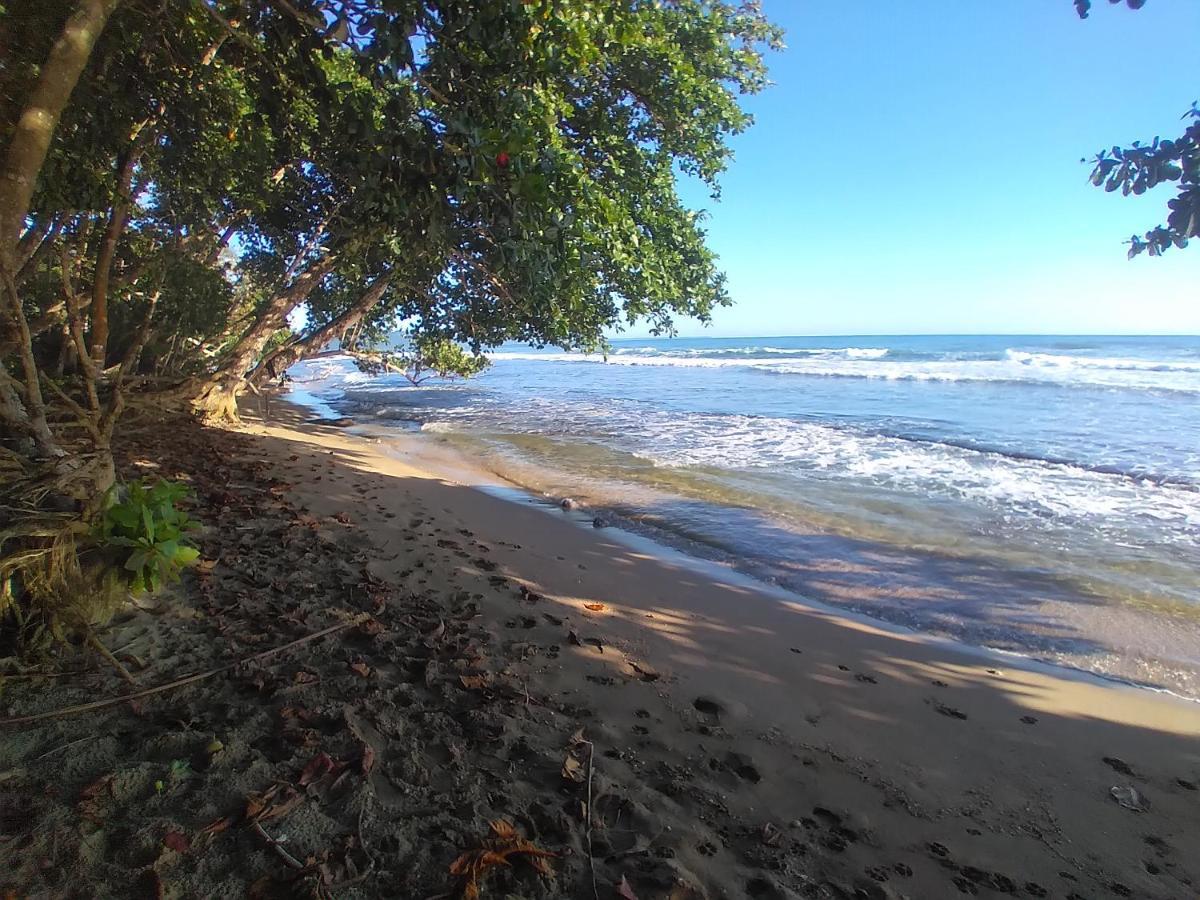 Escape Caribeno Hotel Puerto Viejo de Talamanca Eksteriør billede