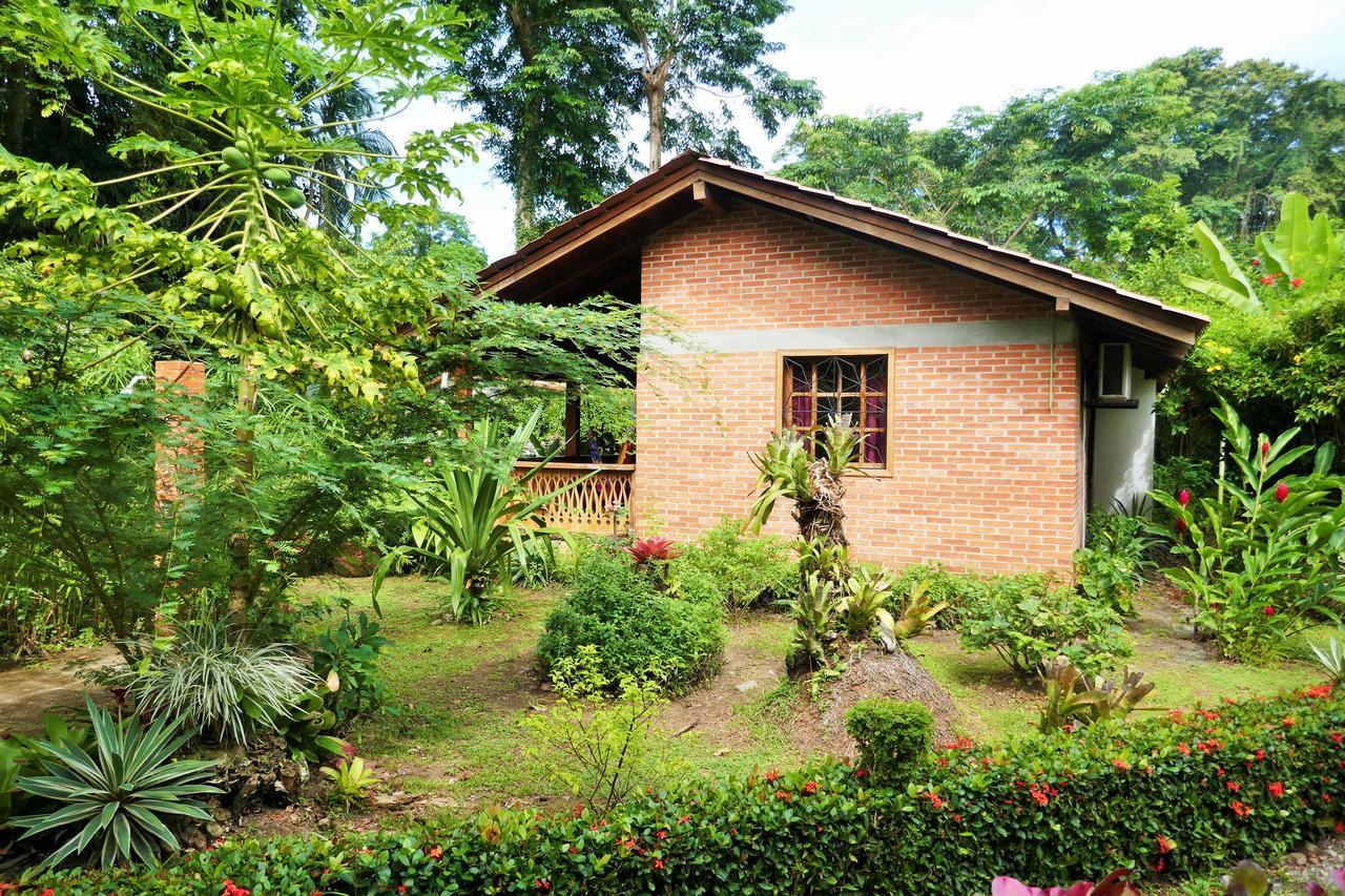 Escape Caribeno Hotel Puerto Viejo de Talamanca Eksteriør billede