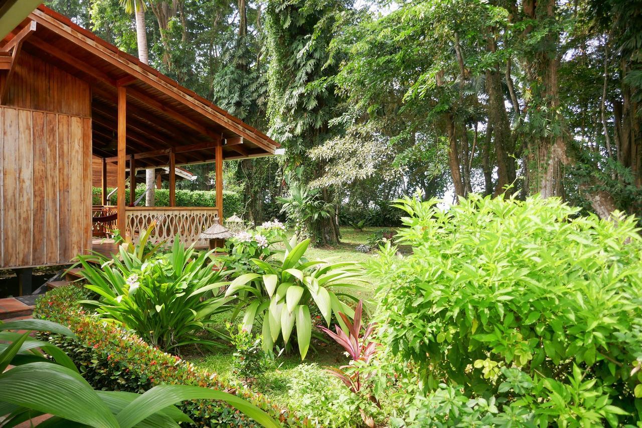 Escape Caribeno Hotel Puerto Viejo de Talamanca Eksteriør billede