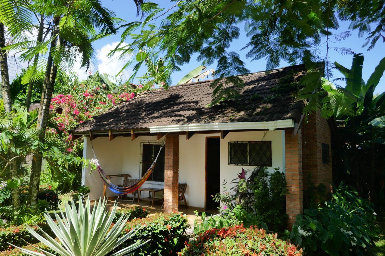 Escape Caribeno Hotel Puerto Viejo de Talamanca Eksteriør billede