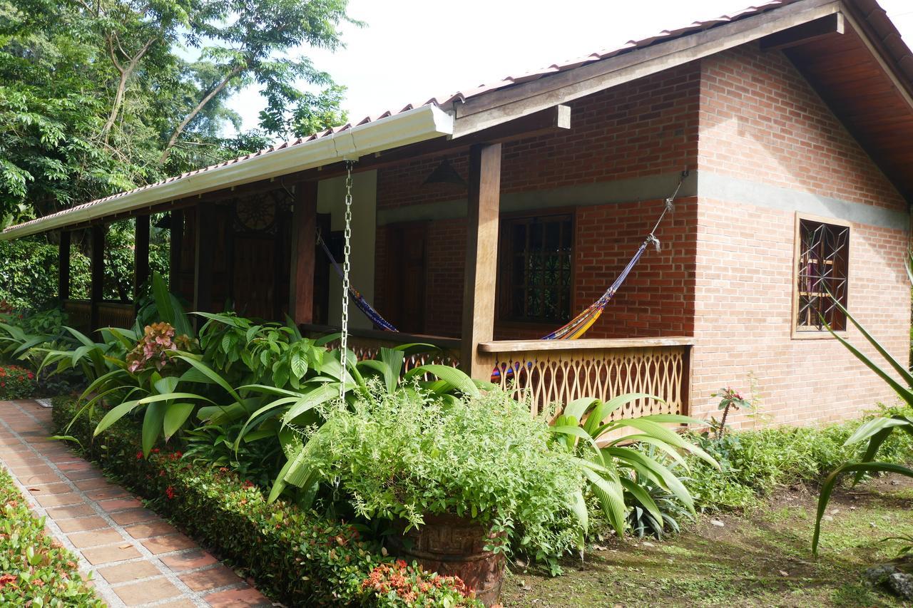 Escape Caribeno Hotel Puerto Viejo de Talamanca Eksteriør billede