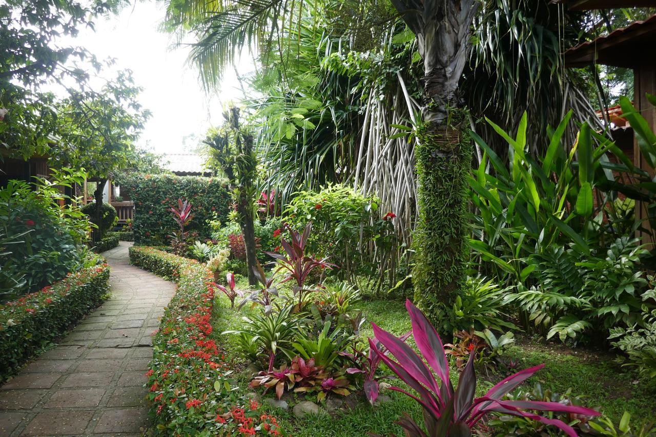 Escape Caribeno Hotel Puerto Viejo de Talamanca Eksteriør billede