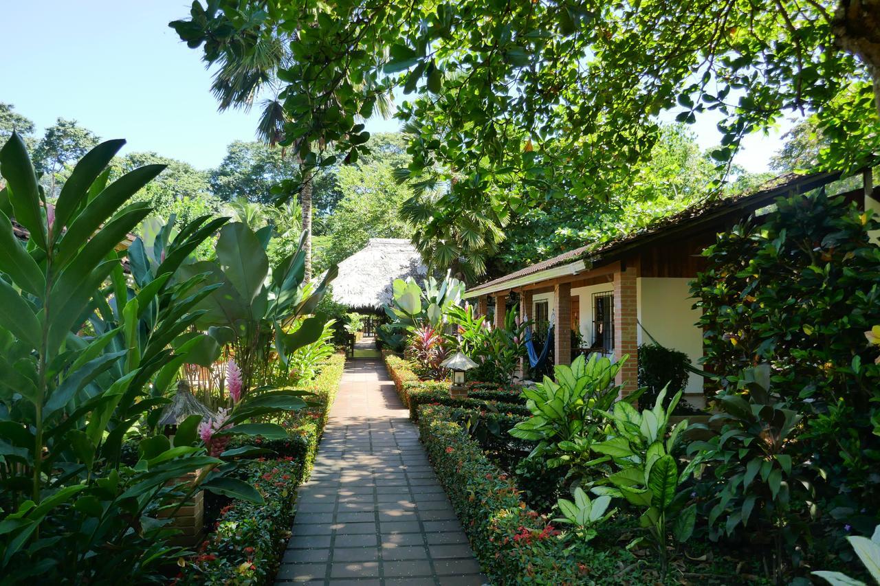 Escape Caribeno Hotel Puerto Viejo de Talamanca Eksteriør billede
