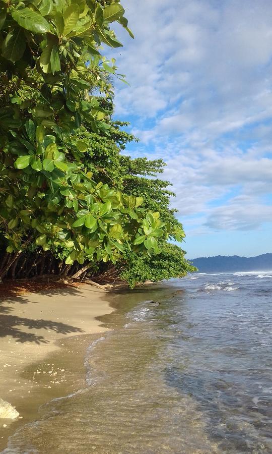 Escape Caribeno Hotel Puerto Viejo de Talamanca Eksteriør billede