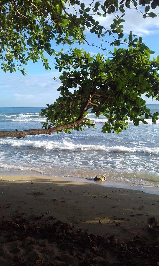 Escape Caribeno Hotel Puerto Viejo de Talamanca Eksteriør billede