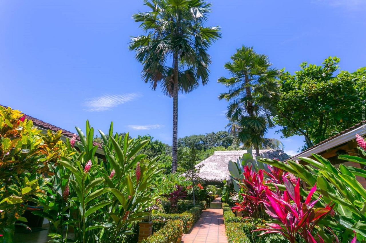 Escape Caribeno Hotel Puerto Viejo de Talamanca Eksteriør billede